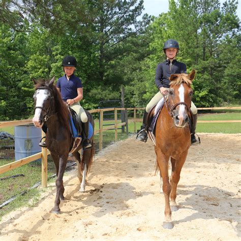 Horse Riding Camps Near Me - Best Horse Riding Camp Around - Pony Gang