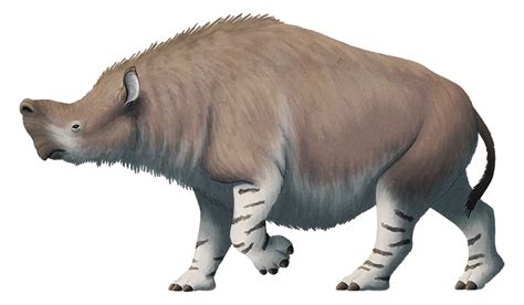 Embolotherium | Dinosaur Wiki | Fandom