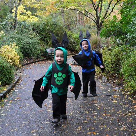 Wild Kratts Costume Diy