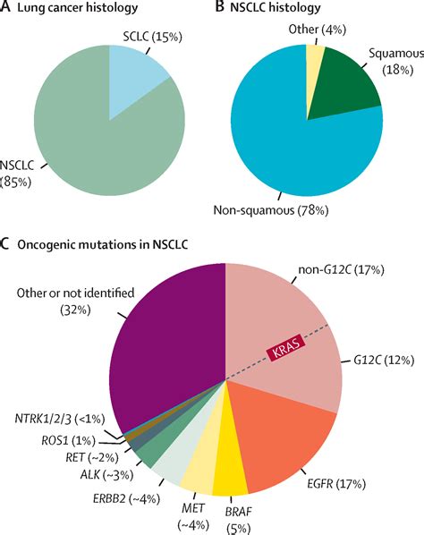 Lung cancer - The Lancet