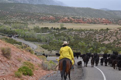 Cattle Drive Vacations and Holidays - Dryhead Ranch