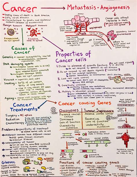 Introductory biochemistry flowcharts – Artofit