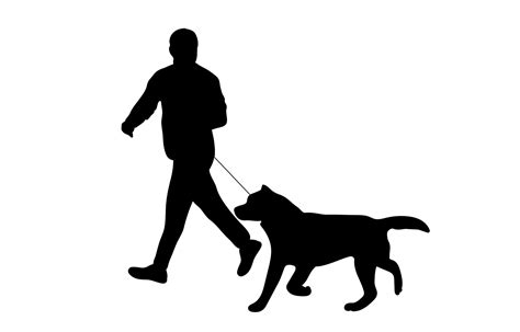 Dog Walking Silhouette Vector Art, Icons, and Graphics for Free Download