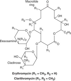 Macrolides and Ketolides Flashcards | Quizlet