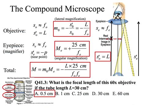 Solved I can't figure out how to do this one at all. Can I | Chegg.com