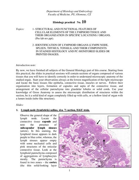 LYMPHATIC ORGANS HISTOLOGY PRACTICAL by Dimitrolos Krajci - Issuu