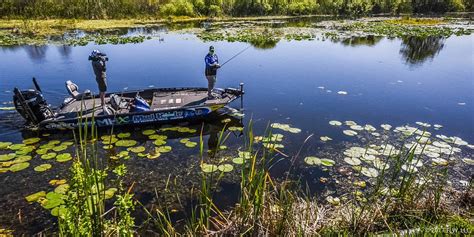 Harris Chain of Lakes Fishing Guide