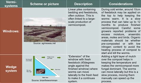 What is Vermicompost? Types and how to monitor - Wikifarmer