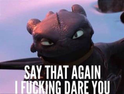 Httyd meme collection 1 | Httyd, How to train your dragon, Night fury