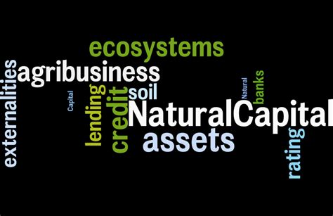 NATURAL CAPITAL ACCOUNTING – coming our way! | The Conscious Farmer