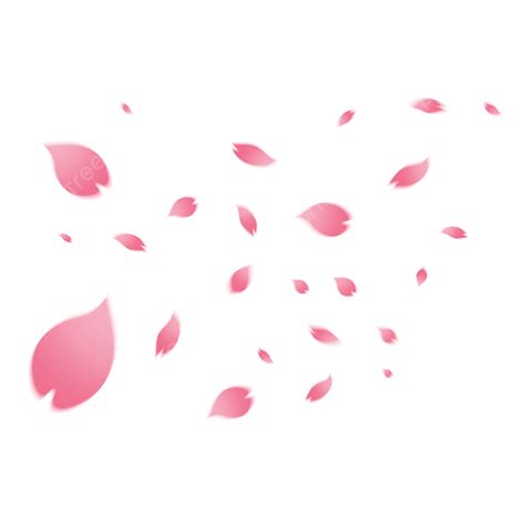 Cherry Blossom Petals PNG Image, Falling Cherry Blossom Decorative Petals Floating Matting Free ...