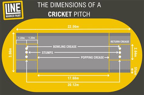 The Dimensions Of A Cricket Pitch