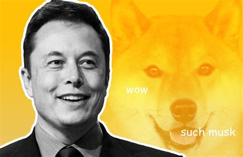 Elon Musk Wins Dogecoin CEO Poll, Calls the Meme-Inspired Coin a Fave ...