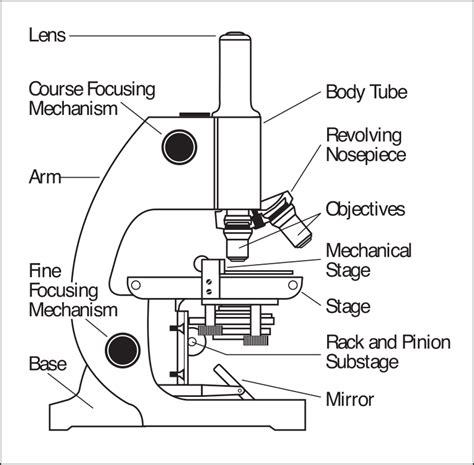 Microscope clipart part, Microscope part Transparent FREE for download on WebStockReview 2024