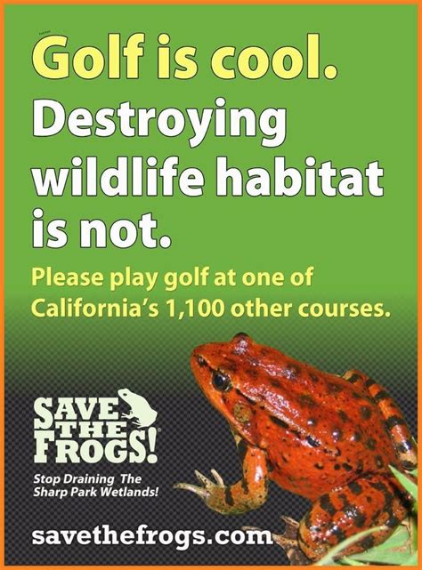 Pin by Pinner on Reptiles, Turtles, Frogs & More! | Frog, Wildlife habitat, Wetland