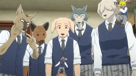 Beastars Season 3 Release Date Is Yet To Be Announced! - ThePopTimes