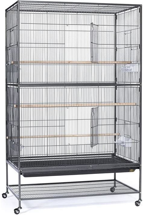 Top 7 Pionus Cage Size - Prices & Benefits - CuteParrots