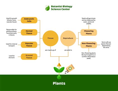 biology: Get Biology Science Concept Map Background