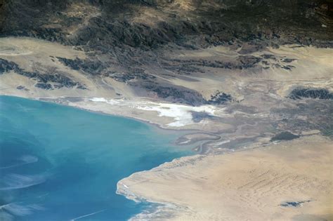 Colorado River delta fish risk extinction through interbreeding due to lack of freshwater | UCLA