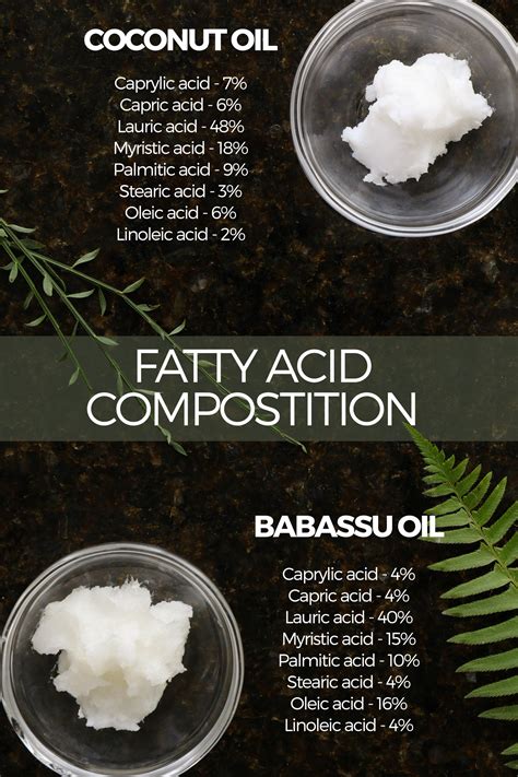 Babassu Oil: A Coconut Oil Substitute in DIY Skincare Recipes