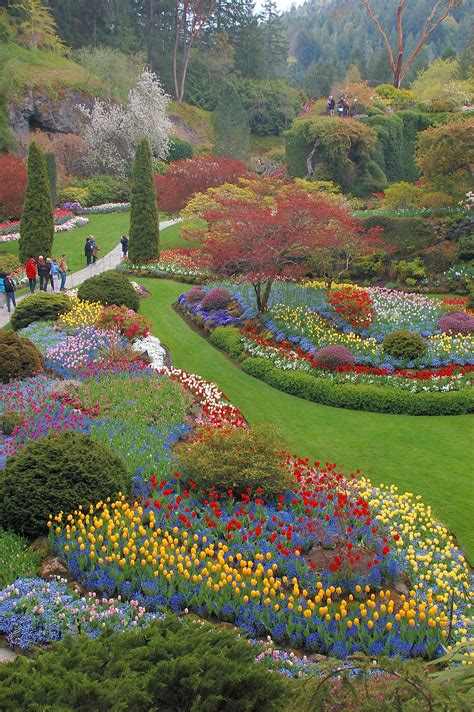 Victoria Gardens Bc Tours - Beautiful Insanity