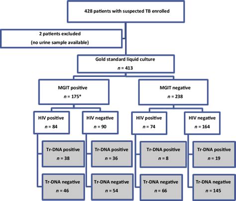 Flow diagram showing tuberculosis (TB) diagnosis based on the urine... | Download Scientific Diagram