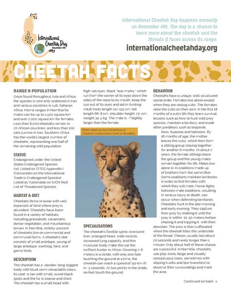 Cheetah Facts - front - International Cheetah Day