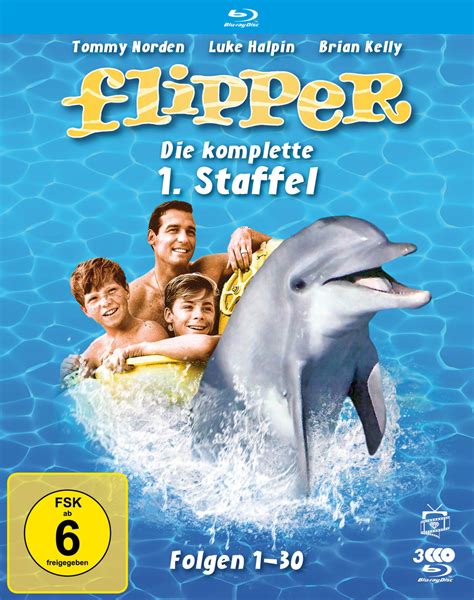 Flipper, die Serie – Erinnerst Du Dich?