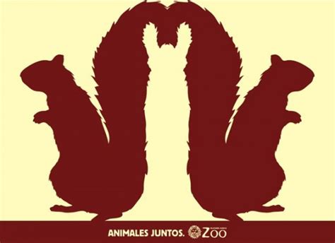 Buenos Aires Zoo Animal Optical Illusions