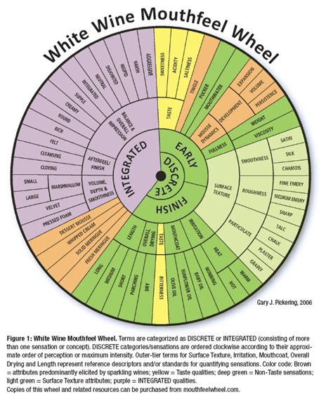 A Wine Tasting Wheel for Describing Mouthfeel of Red or White Wine
