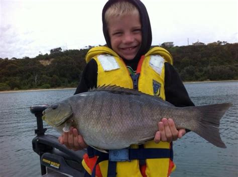 Thomas's terrific luderick! - Fishing World Australia