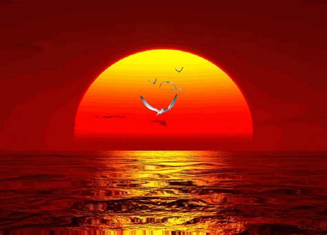 anime scenery nature gif wallpaper in 2024 | Nature gif, Sunset gif ...