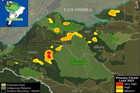 2021 Amazon deforestation map shows devastating impact of ranching, agriculture