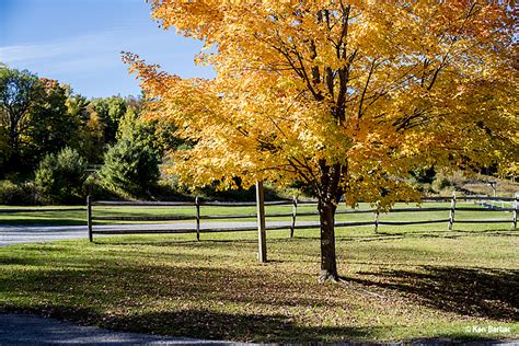 Fall Foliage - Cooperstown, NY 2015 photos