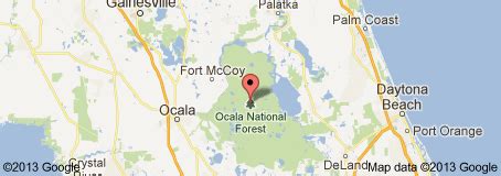 ocala national forest - Google Search | Ocala national forest, Places ...