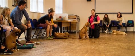 Confident Canines | Puppy & Dog Training Services | Leyland, Lancs - Home