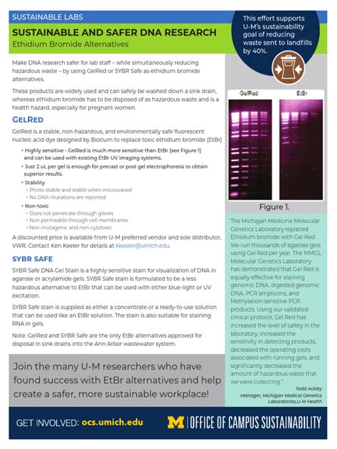 Ethidium Bromide Alternatives Flyer | PDF