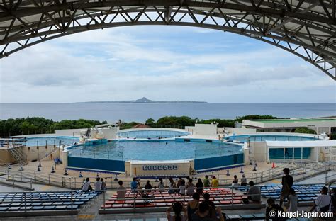 Okinawa Churaumi Aquarium - The Largest Saltwater Tank in Japan