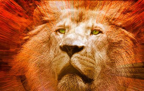 Narnia The Lion The Witch And The Wardrobe Aslan