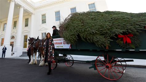 Melania Trump welcomes Christmas tree to White House | Fox News