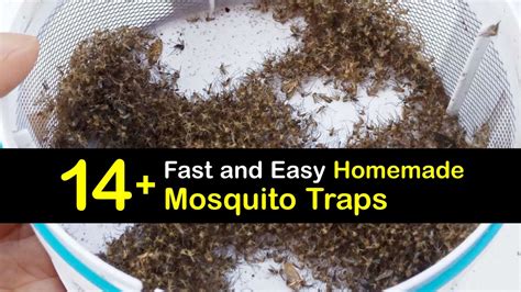 DIY Mosquito Traps - Control Home Mosquito Populations