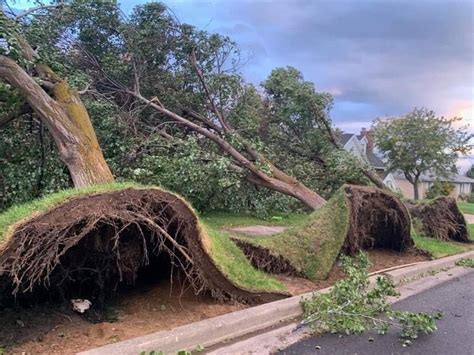 PHOTOS: Storm causes heavy wind damage in Utah