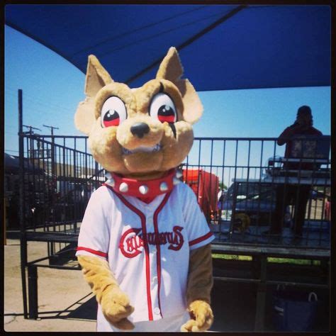 7 Chico the El Paso Chihuahuas Mascot ideas | el paso chihuahuas, el ...