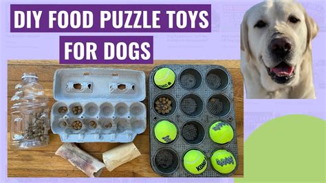 DIY Brain Games for Dogs! Homemade Food Puzzle Toys - YouTube