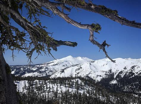 Sierra-at-Tahoe, CA Report: 142” Season Total and Hitting 3 Parks - SnowBrains