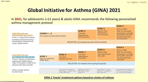 GINA Guidelines - Mild Asthma