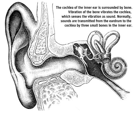 Sound Bite: Sound & Perception Science Activity | Exploratorium Teacher Institute Project