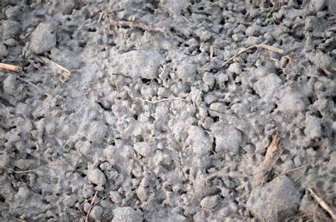 Premium Photo | Dry soil texture closeup of dry soil texture background