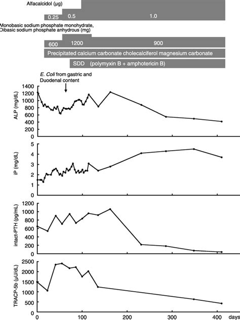 Bone metabolism markers. After starting SDD, levels of bone metabolism ...