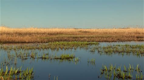 Saskatchewan River Delta (2009) — 291 Film Company